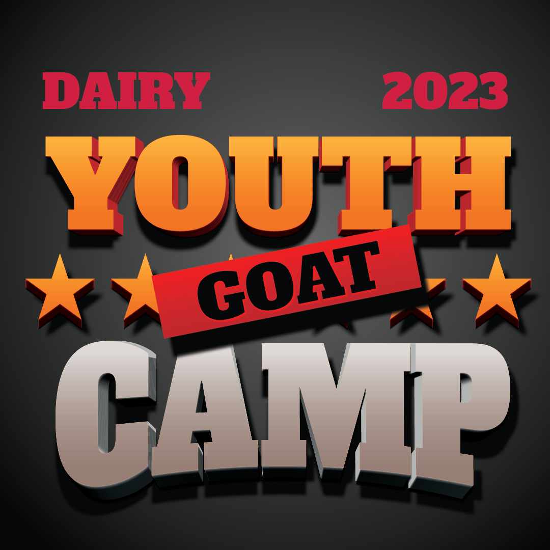 DAIRY Youth Goat Camp
