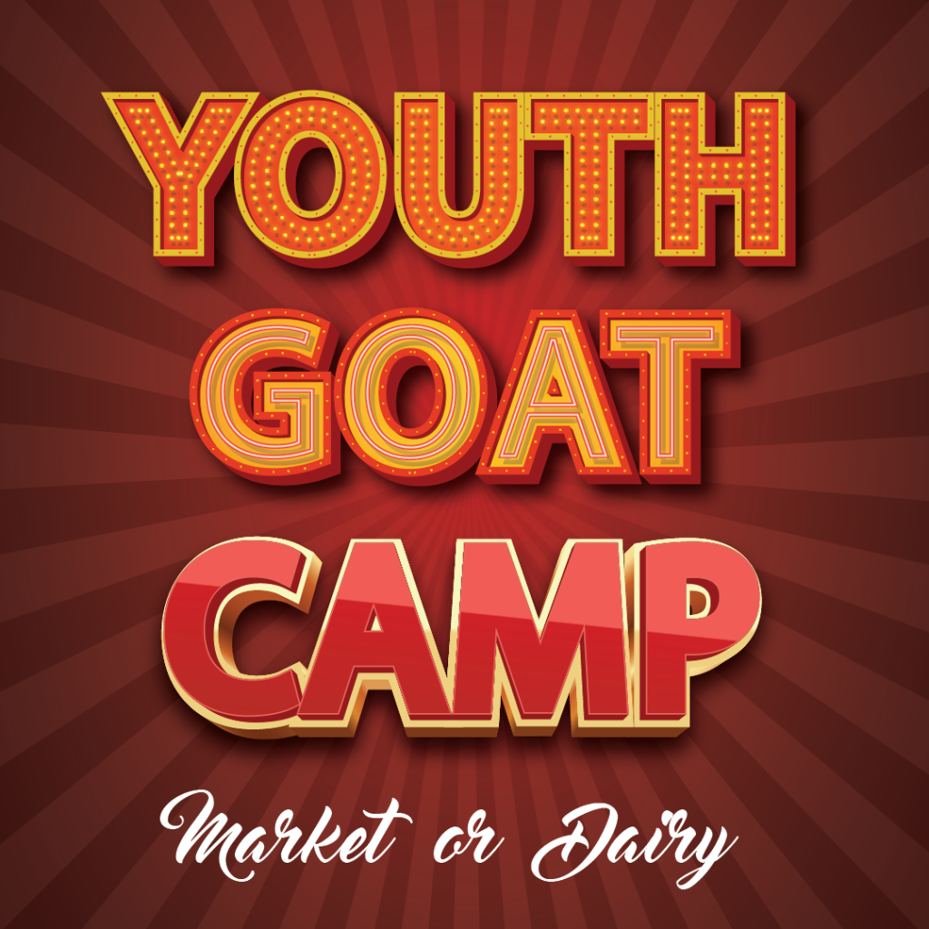 Youth Goat Camp