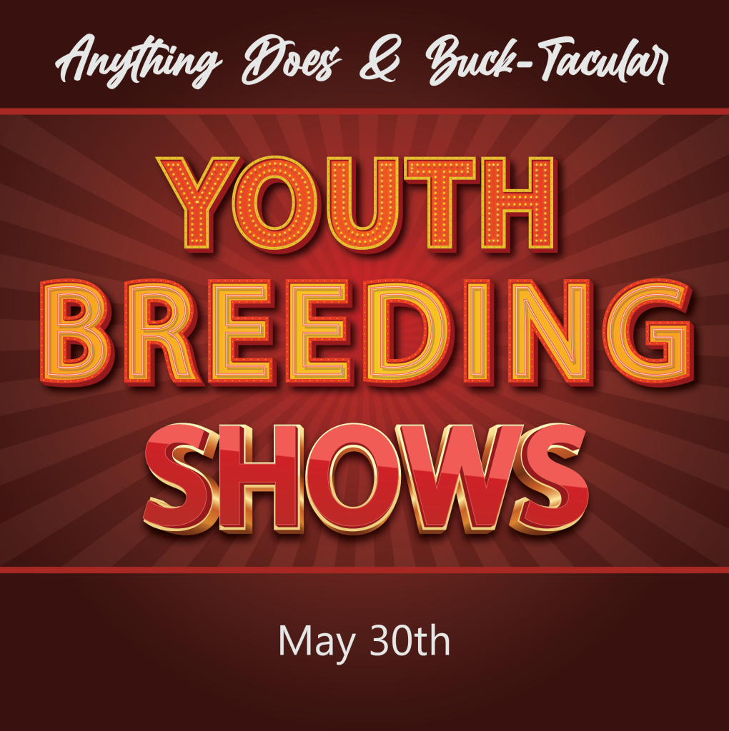 Youth Breed Shows