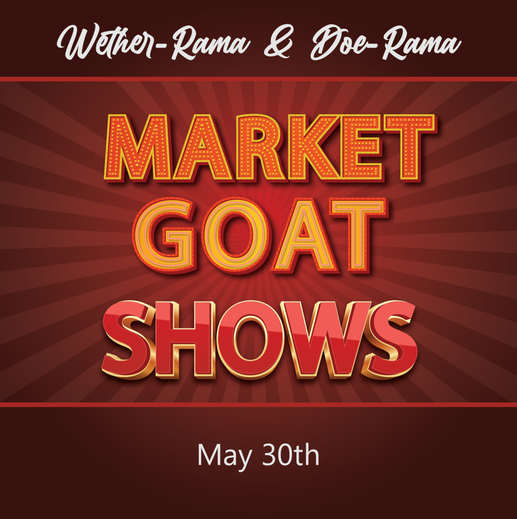 Market Goat Shows