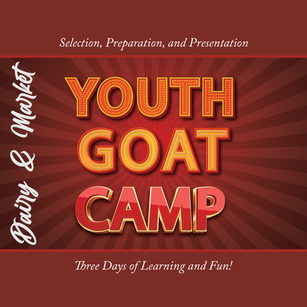 Youth Goat Camps